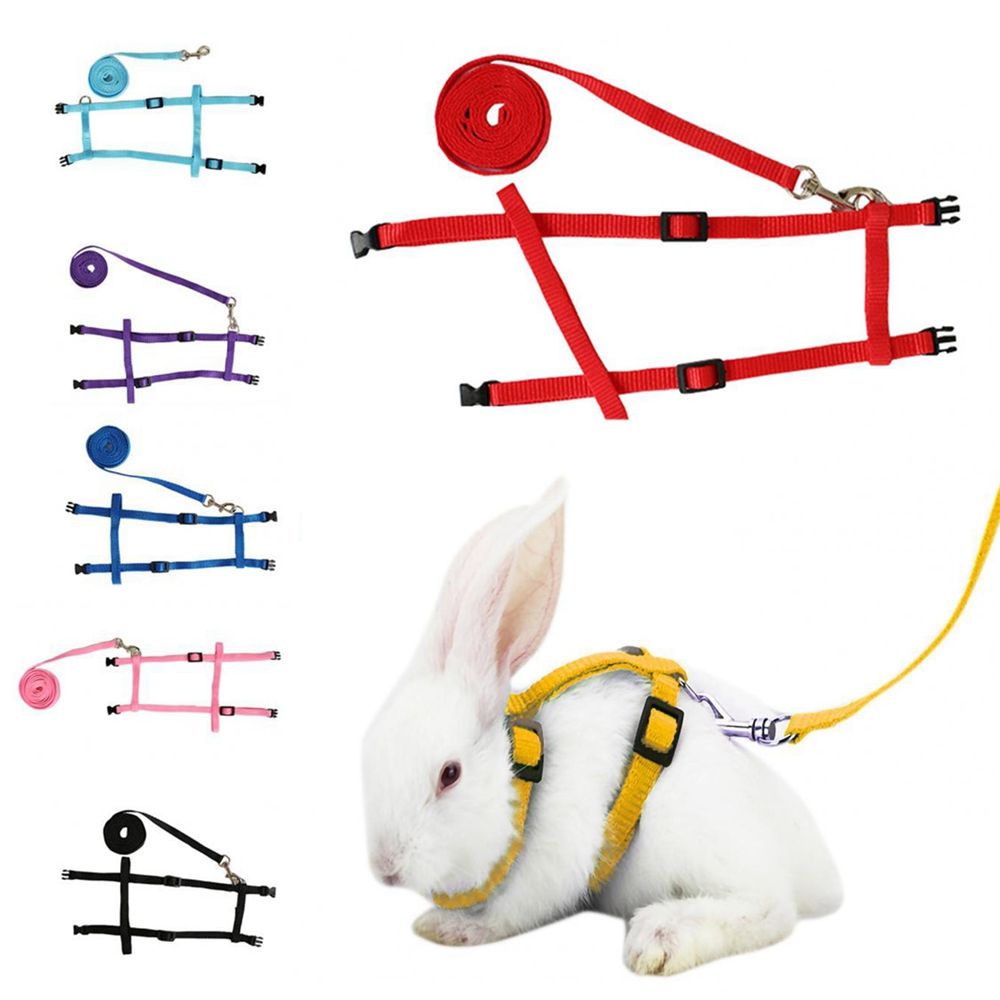 YORKI Soft Adjustable Harness Belt Guinea Pig for Running Walking Bunny Leads Pet Traction Small Pet Leads Rabbit Harness Leash. 