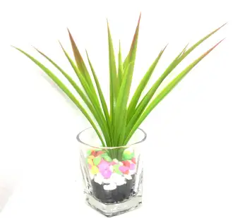 Artificial Grass For Table Decorations With Glass Pot Buy Sell